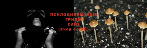 спайс Магас