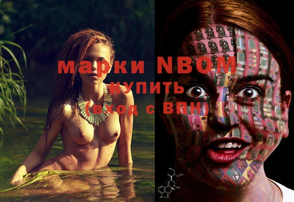 мдпв Верхний Тагил