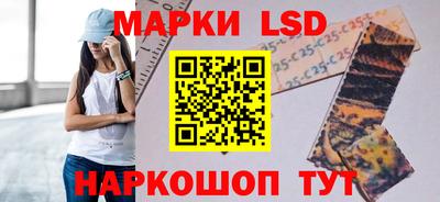 индика Гай