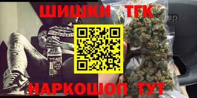 индика Гай