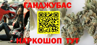 индика Гай
