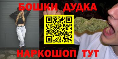 индика Гай