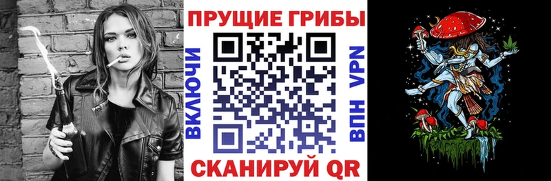 Галлюциногенные грибы Psilocybe  даркнет наркотические препараты  Ялта  где купить   МЕГА ссылки 
