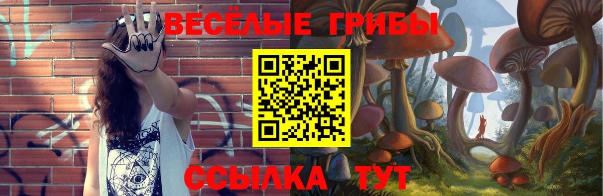 Псилоцибиновые грибы GOLDEN TEACHER Ялта