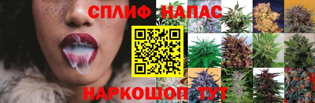 Бошки Шишки планчик Ялта